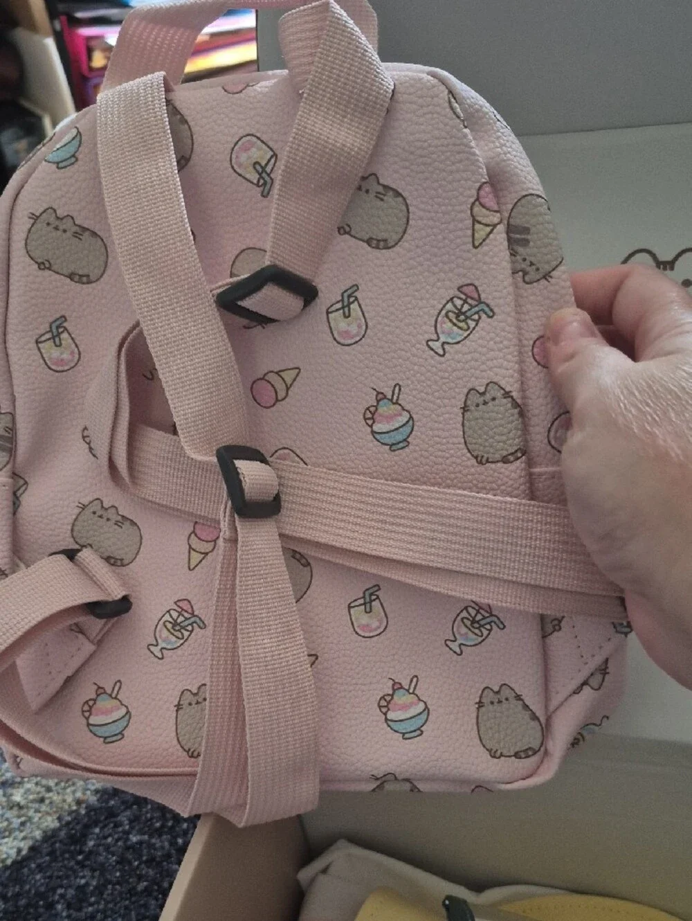 Pusheen 2026 summer